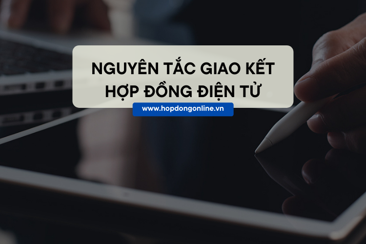 nguyen tac giao ket hop dong dien tu